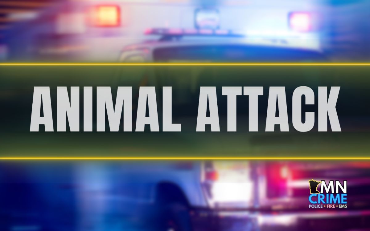 Avon Man Hospitalized After Being Attacked by Bull