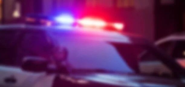 Decomposed Dogs in Burnsville Home Lead to Felony Charges