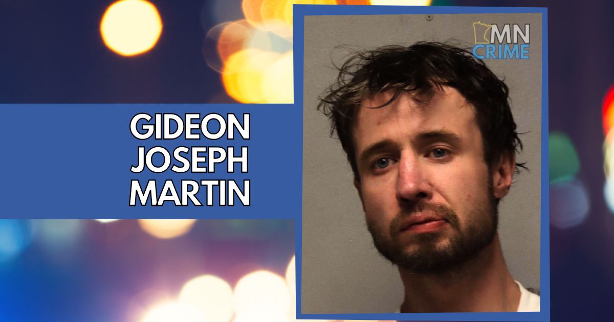 Duluth Man Accused of Choking Deputy, Fleeing Arrest