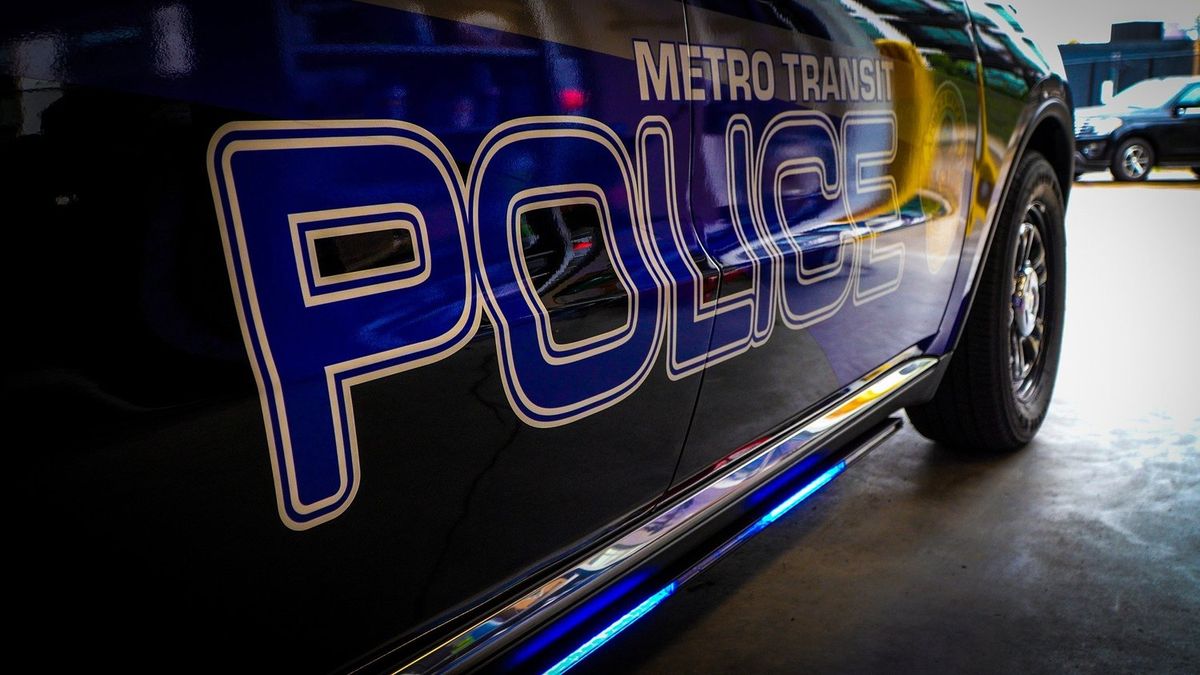 Man Charged with Felony After Vandalizing Police Vehicle