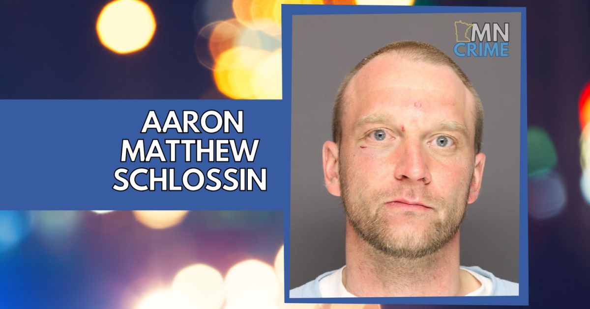 Man Charged with Killing Mom, Assaulting Stranger the Next Day