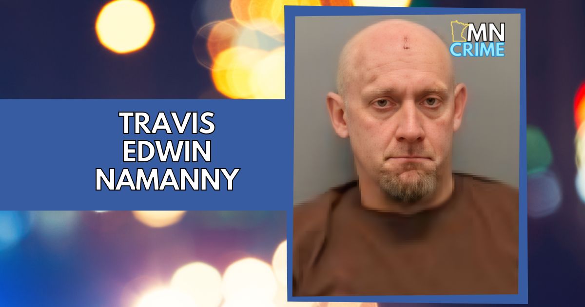 Northfield Man Faces 6 Charges for Fleeing Police with Loaded Gun | MN ...