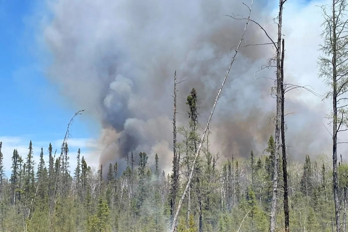 Over 140 Buildings Lost as Northern Minnesota Fires Top 35,000 Acres