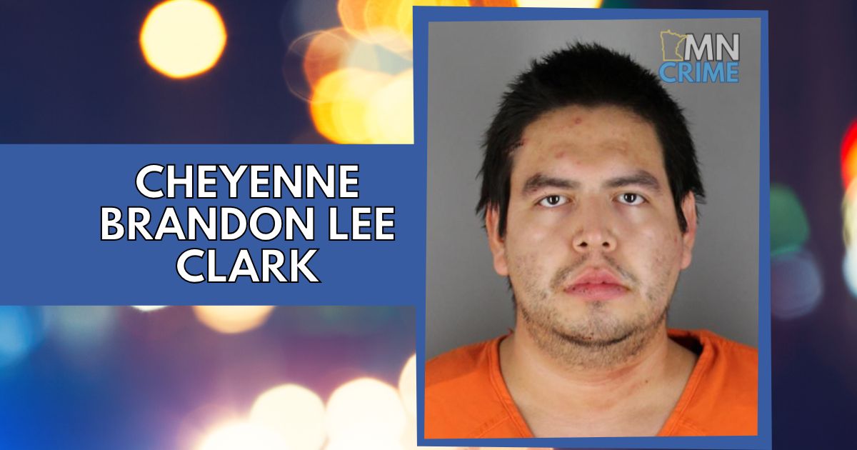 Suspect Charged After Man Stabbed in Stomach While Walking Dog