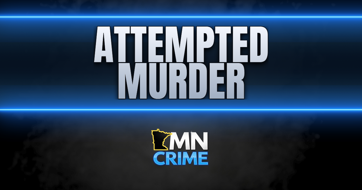 Austin Man Accused of Stabbing Landlord, Puncturing Lung