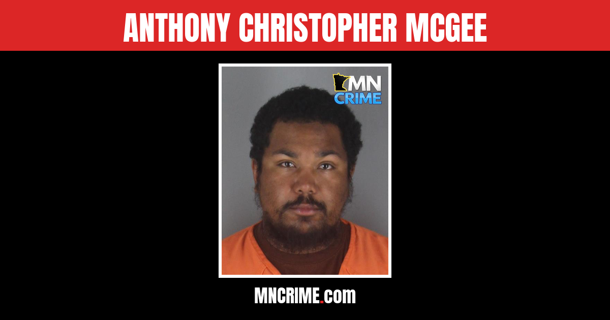 Edina Man Fled Police on Stolen Motorcycle Before Crashing