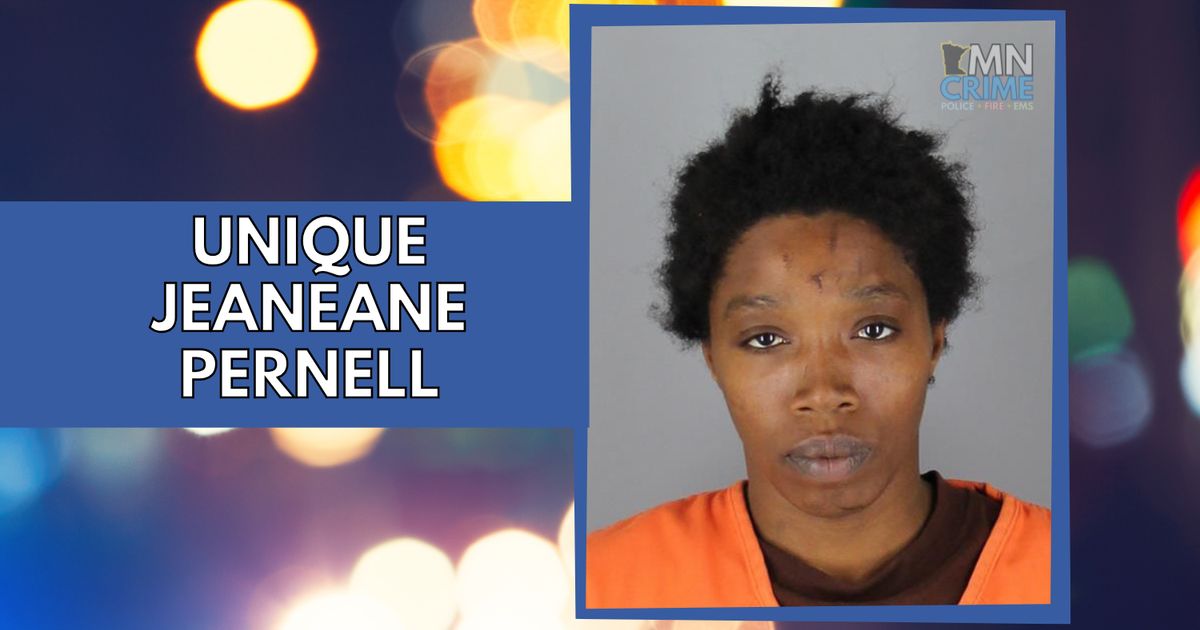 Woman Charged in Brutal Brooklyn Park Stabbing